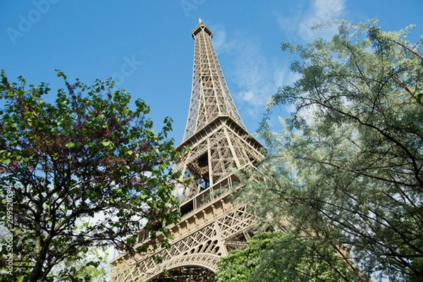 Obraz Eiffel Tower