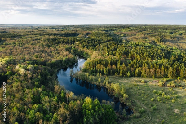 Fototapeta Aerial view of small blue lake among green forest trees on a calm sunny evening