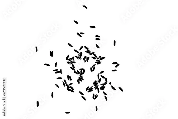 Obraz White rice in black on white background. Organic texture. Silhouette of rice flakes, spread on the flat surface or table. Top view. Vector.