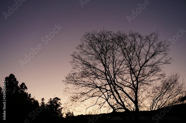 Fototapeta トワイライトグラデーション
