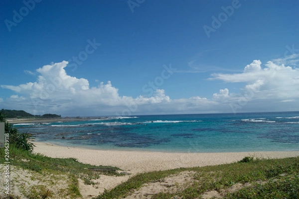Fototapeta 奄美大島の海