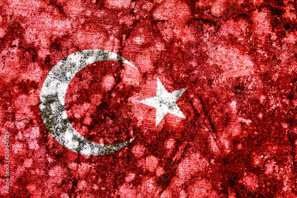 Obraz Macro grunge flag