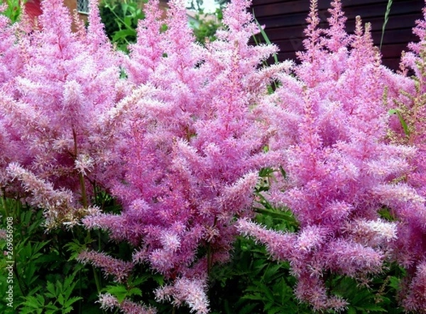 Fototapeta отдых