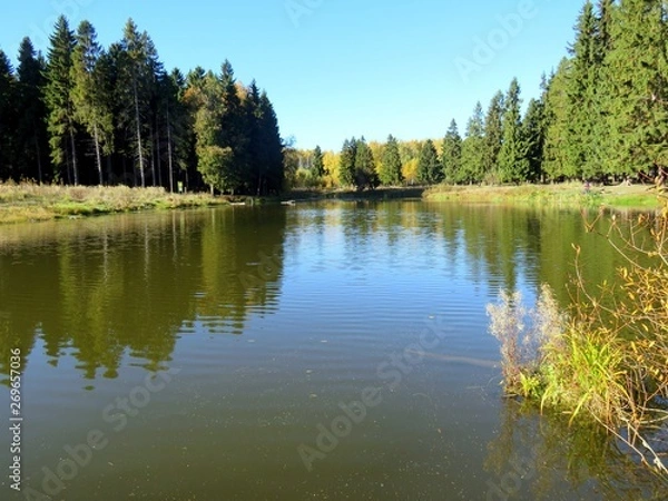 Fototapeta отдых