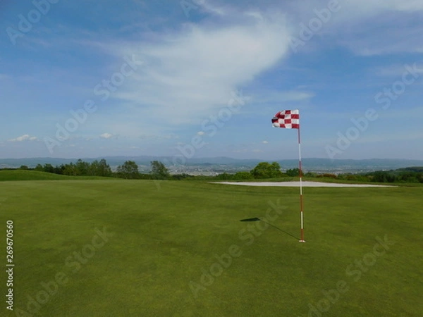 Fototapeta 新緑と青空