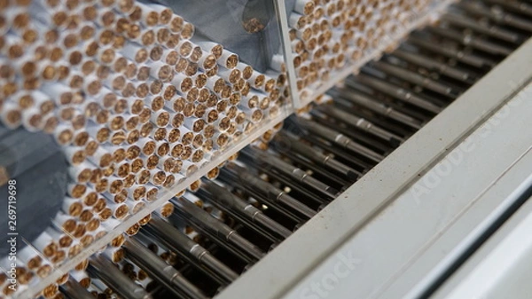 Obraz Cigarettes production line in a tobacco factory