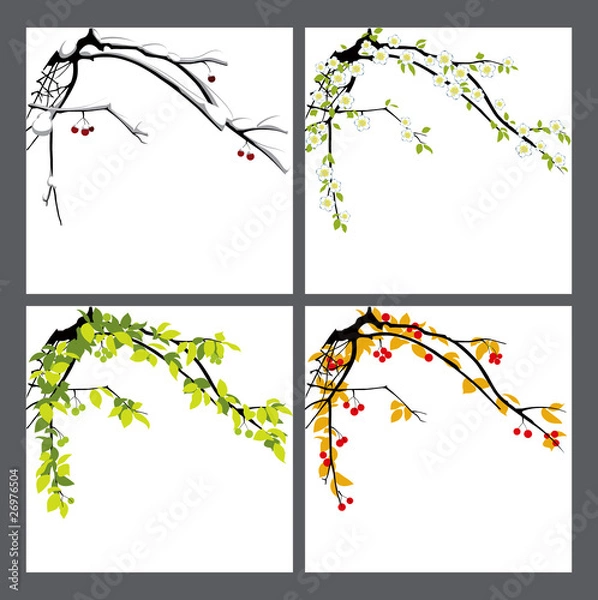 Obraz Apple-tree. Seasons.