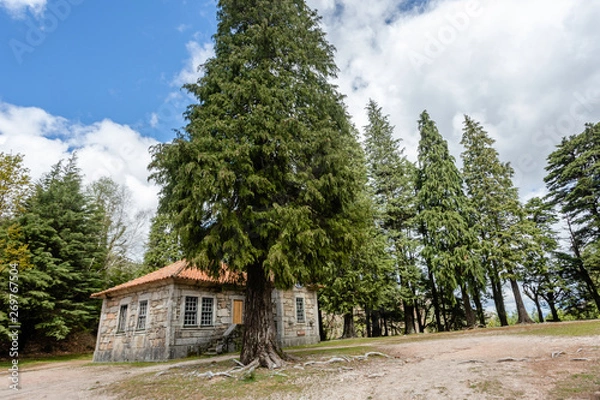 Obraz View of the traditional houses in the village in northern Portugal. Located in Peneda-Geres National Park.