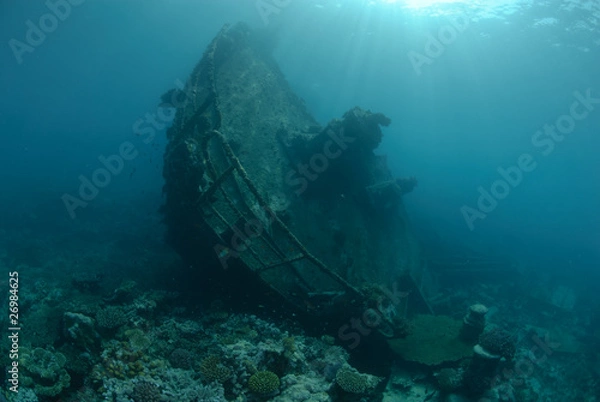 Obraz Shipwreck in shallow water