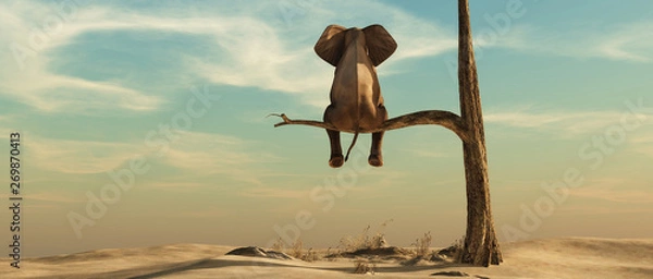 Obraz samotny słoń na drzewie