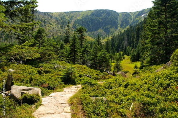 Obraz Karkonosze - Góry Sudety