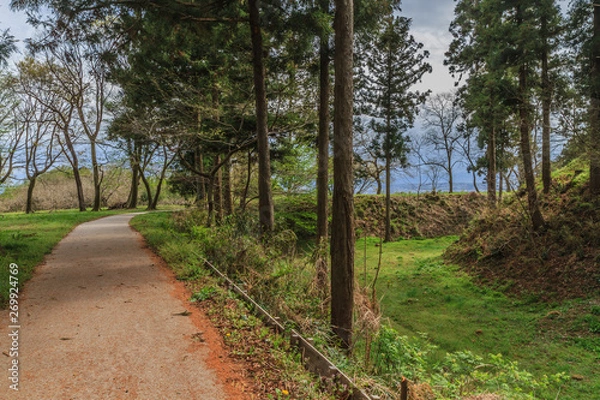 Fototapeta 春の箕輪城の風景
