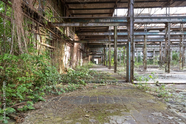 Fototapeta Lost Places