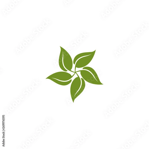 Obraz Natural leaf icon logo design vector template