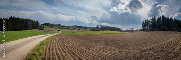 Obraz Freshly plowed field in spring in the Waldviertel, Austria