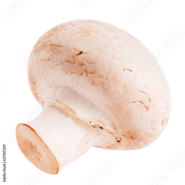 Fototapeta Champignons