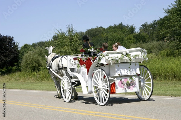 Fototapeta horse-drawn newlyweds
