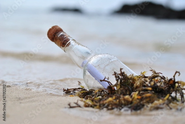 Obraz Message wreck on the shore