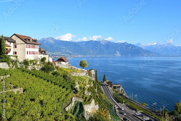 Obraz View from Lavaux