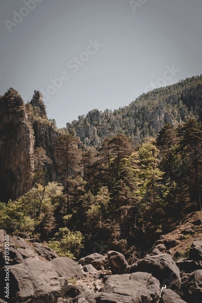 Fototapeta Mountains