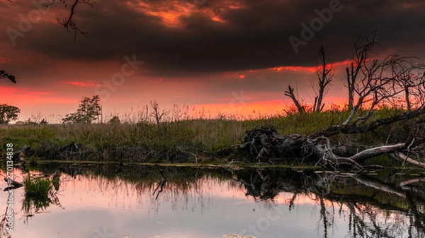 Fototapeta Red River