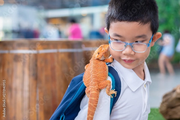 Obraz boy hold Bearded Dragon on shoulder.