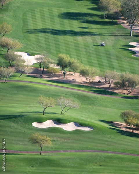 Obraz desert golf course