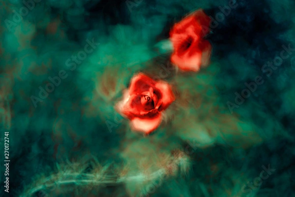 Obraz Red rose in a garden