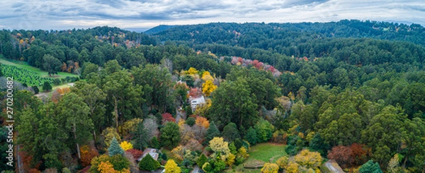 Obraz Aerial panorama of Dandenong Ranges forest in autumn. Melbourne, Victoria, Australia