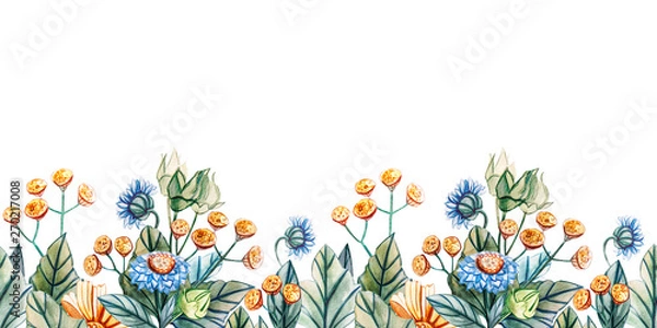 Obraz Seamless horizontal pattern of wildflowers.