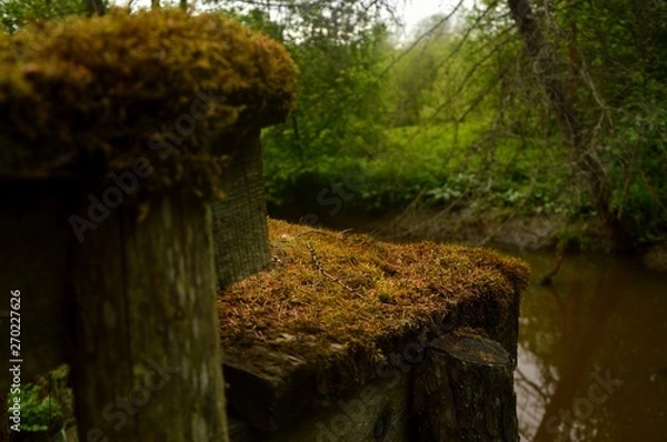 Obraz Old berth on the river