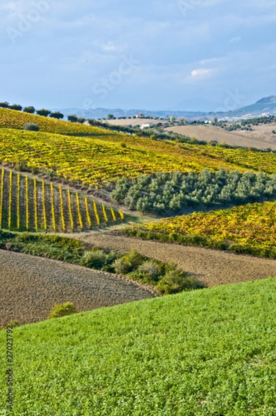 Obraz campagna abruzzese 3