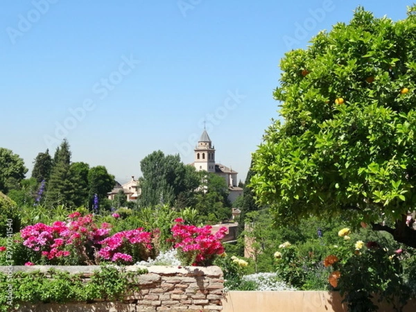 Obraz L'Alhambra à Grenade