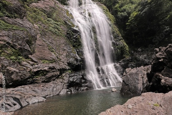 Fototapeta 千尋の滝