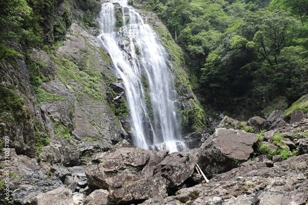 Fototapeta 千尋の滝