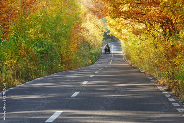 Fototapeta wagon on road on fall