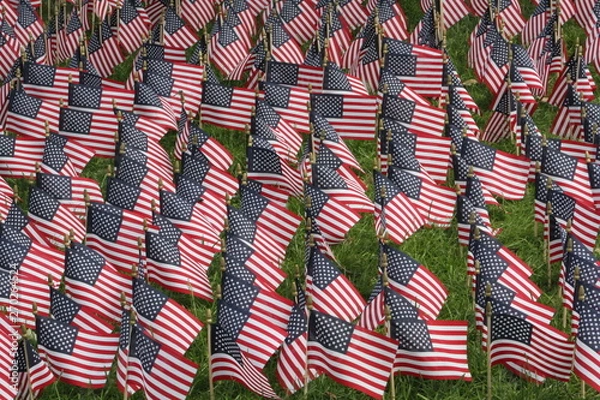 Obraz American Flags in a Large Group