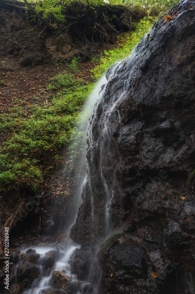 Fototapeta 無名滝