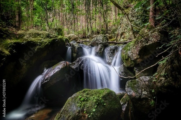 Fototapeta 水辺の段差