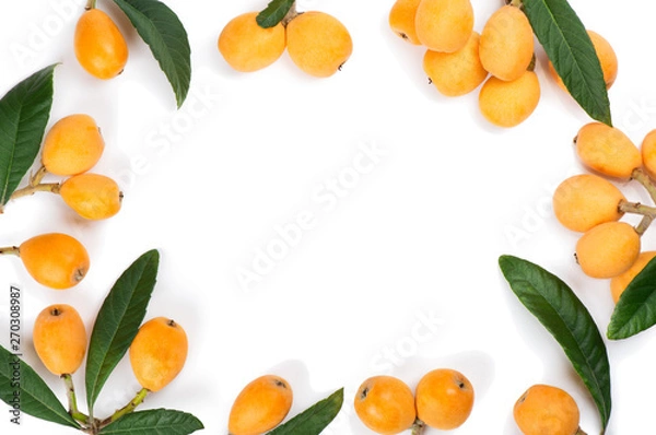 Obraz The loquat with leaf top view.