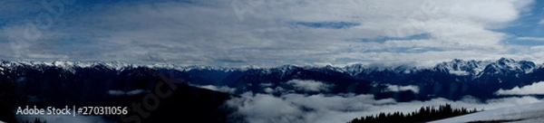 Obraz Hurricane Ridge Panorama