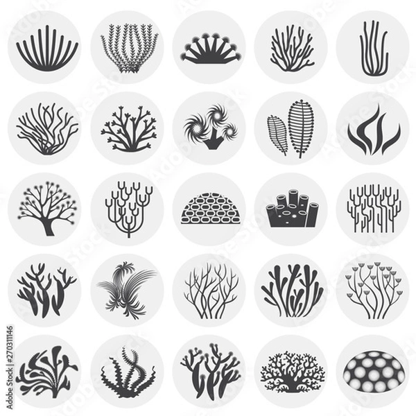 Fototapeta Coral icons set on background for graphic and web design. Simple illustration. Internet concept symbol for website button or mobile app.