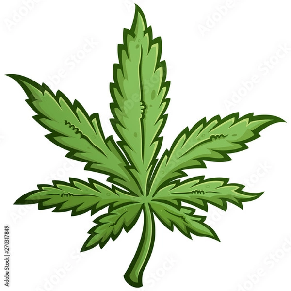 Obraz Green Marijuana Weed Leaf Cartoon Drawing