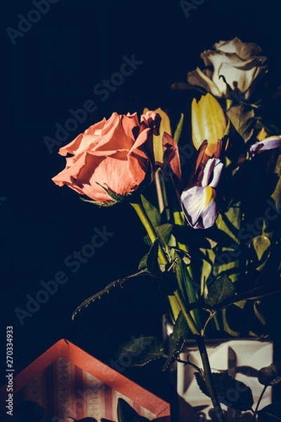 Obraz The colorful flowers.