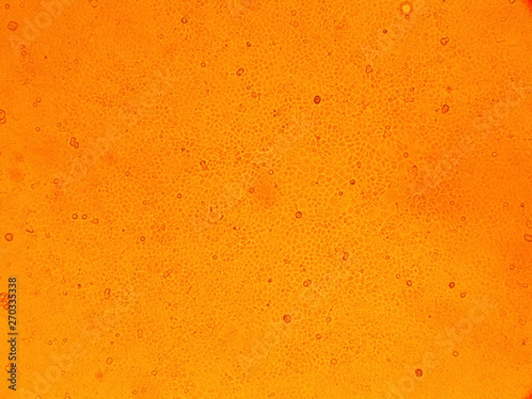 Obraz cell virus Micro organism view from microscope