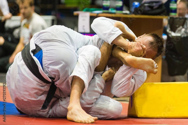 Obraz Brazilian Jiu Jitsu Leglocks