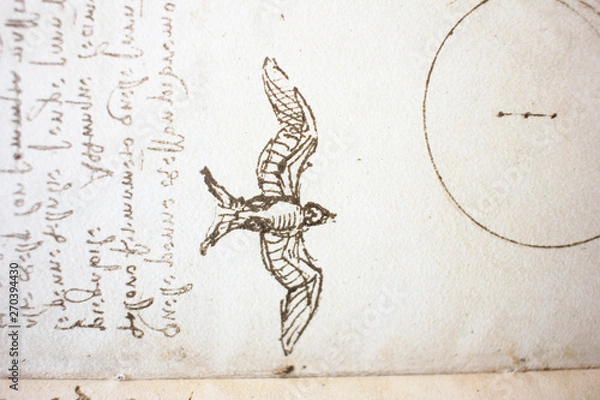 Fototapeta Bird, dove, mechanism of flight in the vintage book Manuscripts of Leonardo da Vinci, Codex on the Flight of Birds by T. Sabachnikoff, Paris, 1893