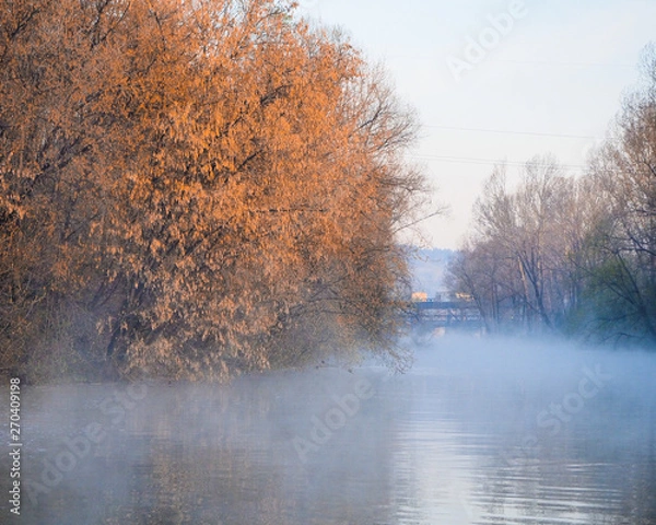 Obraz nature and sky