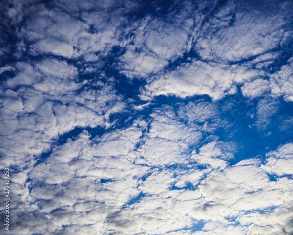 Obraz nature and sky