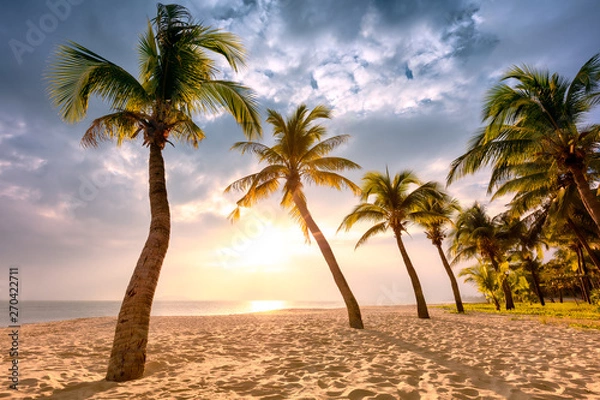 Fototapeta Coconut palm trees against colorful sunset